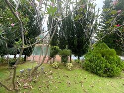 Coral Island (D4), Detached #447599701